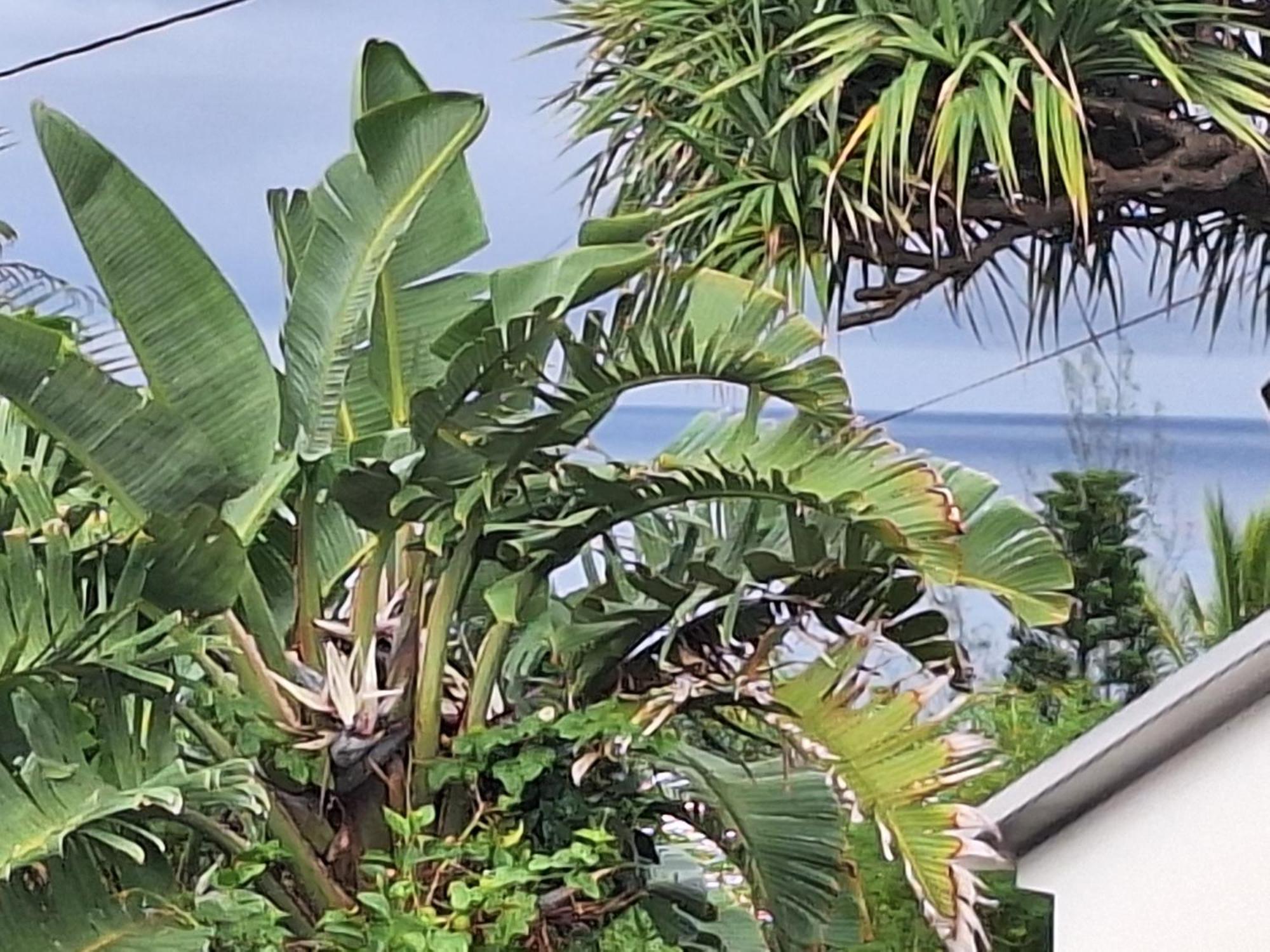L'Etoile Du Piton Villa Saint-Joseph Buitenkant foto